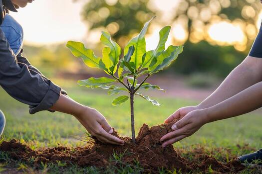 people hands planting small tree in sunset concept save earth free photo